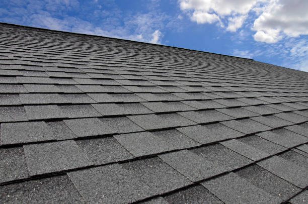 Best Commercial Roofing Services  in Oglesby, IL