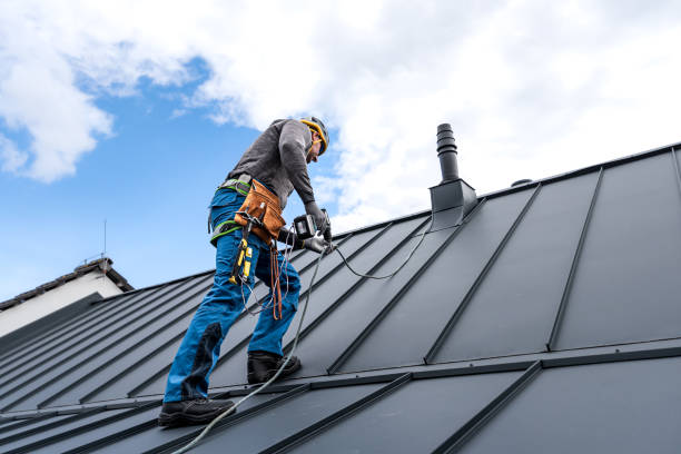 Best Roof Replacement  in Oglesby, IL